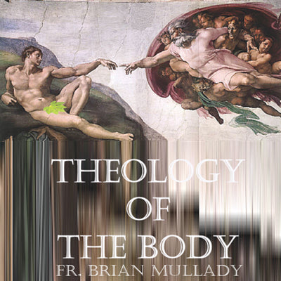 Theology Of The Body - Fr. Brian Mullady
